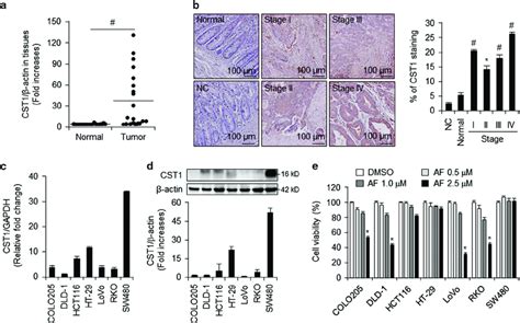 Upregulated Expression Of Cst1 Mrna And Protein In Colon Cancer Tissues