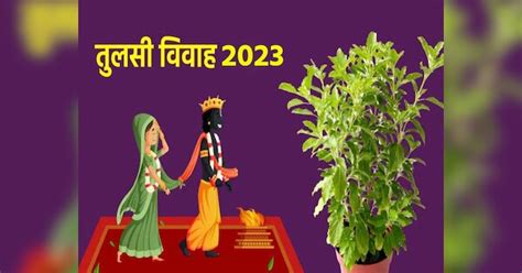 Tulsi Vivah 2023 Tulsi Chalisa In Hindi Shaligram Tulsi Vivah Date Shubh Muhurat Tulsi Chalisa