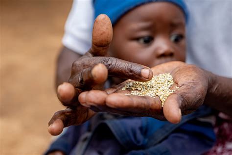 Burundi Frauen besiegen den Hunger Brot für Welt