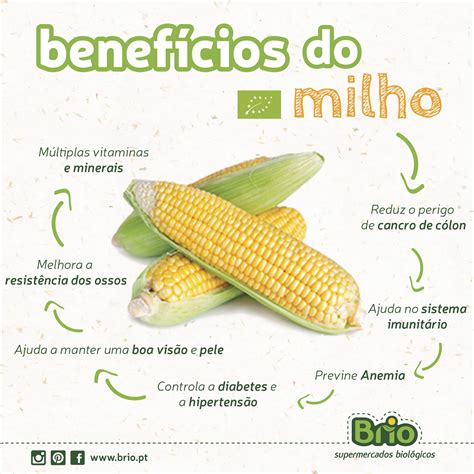 Beneficios Do Milho Biológico Beneficios Do Milho Alimentação E