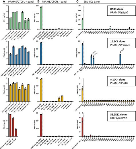 Frontiers Prame And Ctcfl Reactive Tcrs For The Treatment Of Ovarian