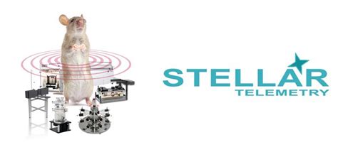 TSE SYSTEMS – Arab Engineers 