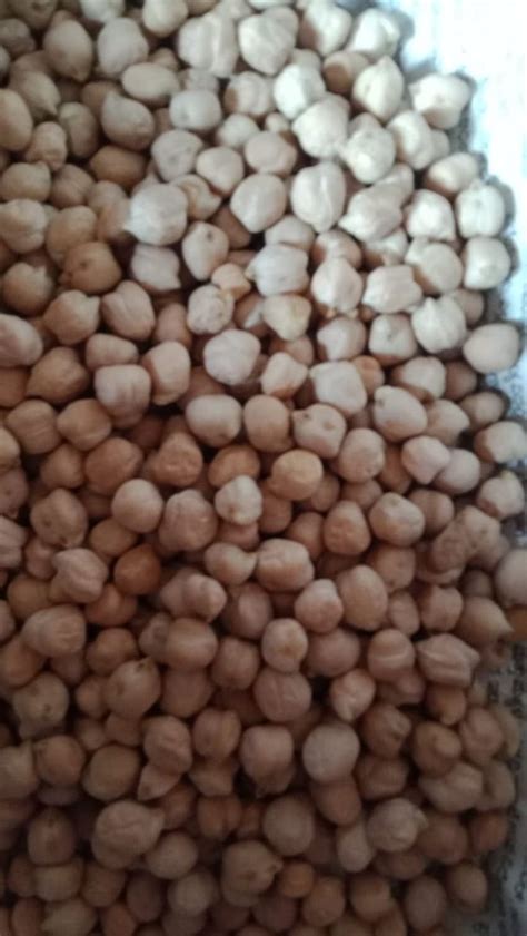 Brown Kabuli Chana At Rs Kg In Dharwad Id