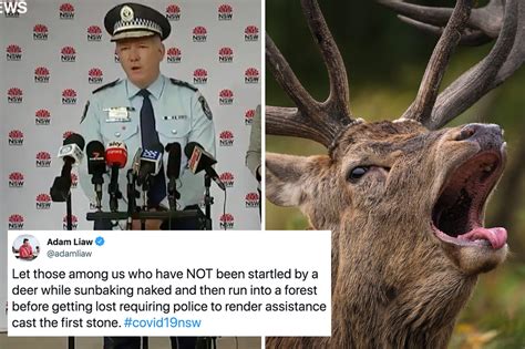 Nude Sunbathers Fined For Breaking Lockdown After Deer Startled Them