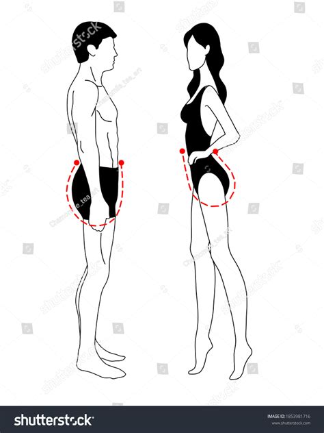 Naked Woman Between Legs Over 7 Royalty Free Licensable Stock Illustrations Drawings