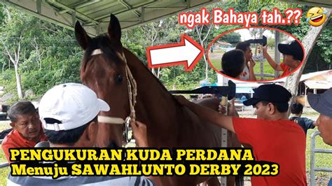 Pengukuran Kuda Menuju Event PACU KUDA SAWAHLUNTO DERBY 3 DESEMBER 2023