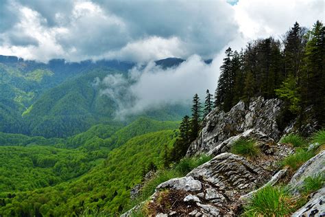 Parcul Natural Apuseni Site Ul Oficial Al Parcului Natural Apuseni