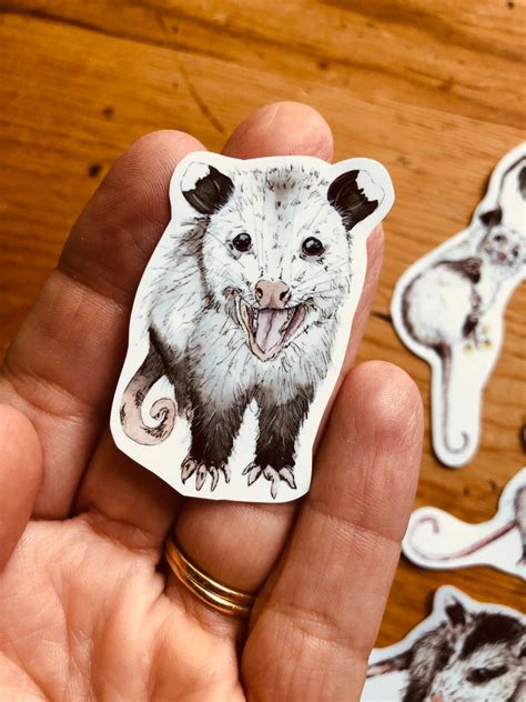 4 Stickers Possum Opossum Planner Craft Vinyl Art Etsy