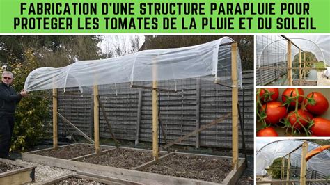 Fabrication d une structure pour protéger les tomates de la pluie et du