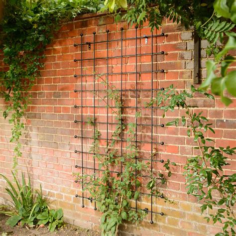 Decorative Metal Garden Trellis Uk Shelly Lighting