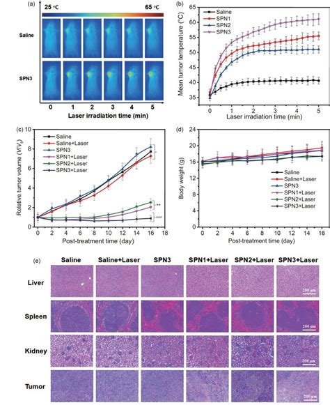 A IR Thermal Images Of 4T1 Tumor Bearing Mice Upon 808 Nm Laser