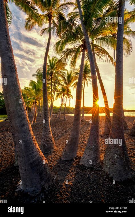 Hawaii Sunset Palm Trees Red Hi Res Stock Photography And Images Alamy