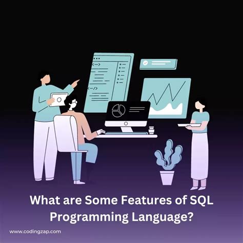 A Beginners Guide To Sequel Programming Language