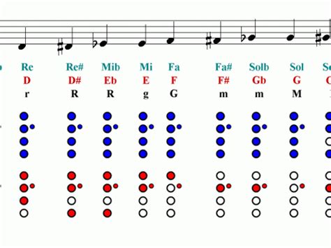 Notes Finger Chart Easy Music