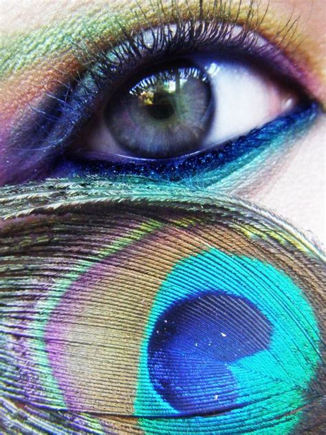 Peacock Inspired Makeup Peacock Eye Makeup Eye Makeup Peacock Makeup