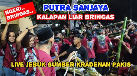 Bringas Putra Sanjaya Kalapan Liar Live Jebuk Sumber Kradenan Pakis