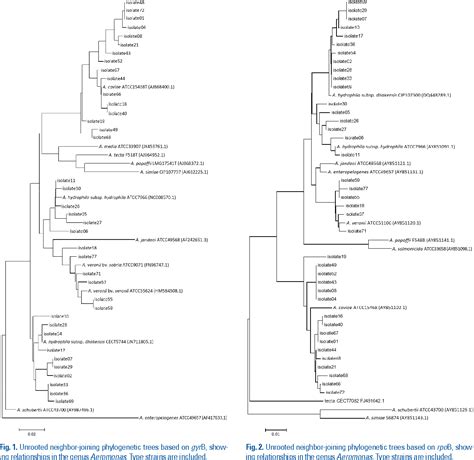 Figure 2 From Comparison Of Maldi Tof Ms Housekeeping Gene Sequencing