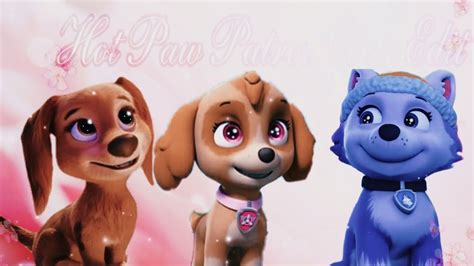 Paw Patrol Hot Girls Edit YouTube