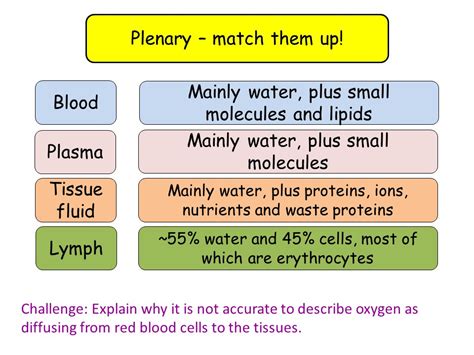 7.6 Blood vessels, tissue fluid and lymph A-level (Year 12) biology ...