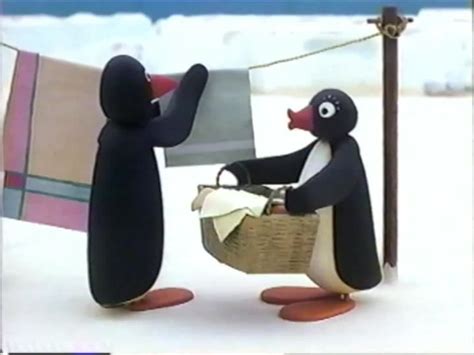 Pingu: Season 4 (Test footage) : Pingu Filmstudio : Free Download ...