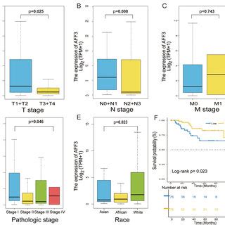 Correlation Of AFF3 MRNA Expression With Clinicopathological