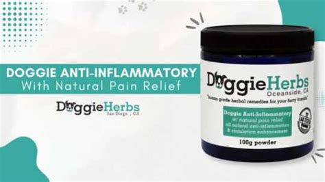 Herbal Anti Inflammatory For Dogs: Natural Pain Relief and Inflammation ...