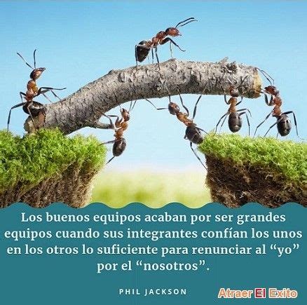 36 ideas de Trabajo en equipo frases | trabajo en equipo frases ...