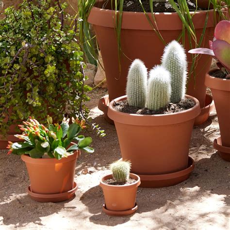 Bloem Terra Plant Saucer Tray For Planters C Terra Cotta