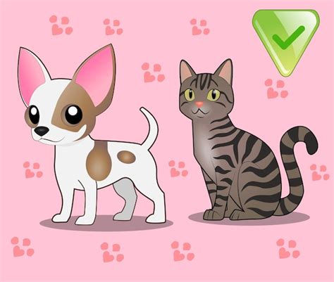 Perros Y Gatos Vector Premium