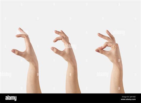 Set Of Female Hands Grip Gesture On White Stock Photo Alamy