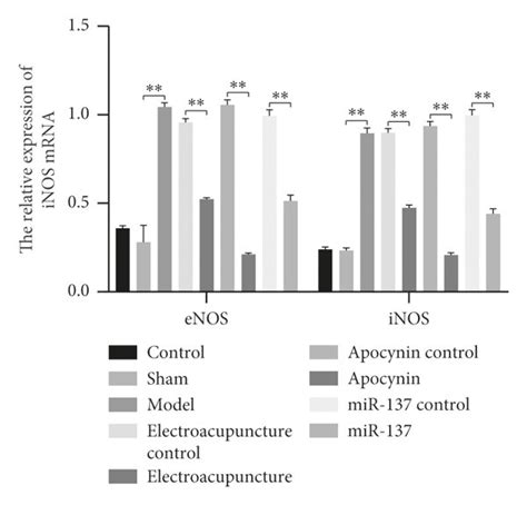 The Expression Of Enos And Inos A The Relative Expression Of Enos Download Scientific