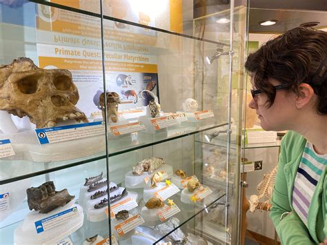 Fossils at Lemur Center Museum Tell an Old Story | Duke Today