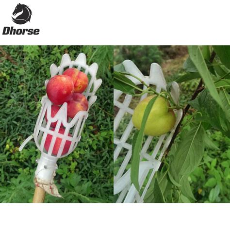 Dhorse Plastic Fruit Picker Without Pole Fruit Catcher Gardening