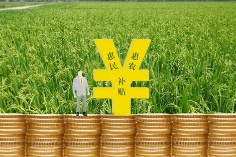 全过程全方位全覆盖 ——重庆惠民惠农财政补贴信息公开走深走实申报群众政策