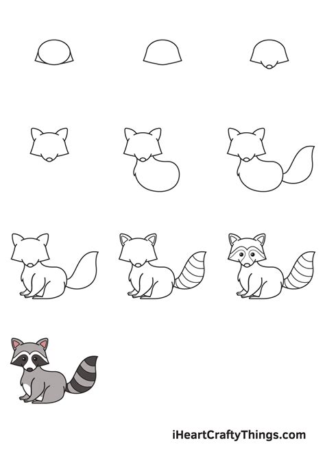 Raccoon Drawing - How To Draw A Raccoon Step By Step