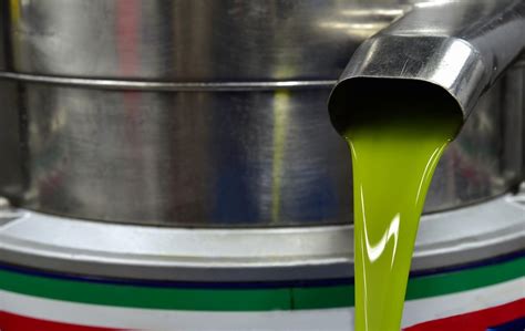 Olio Extravergine Di Oliva Come Riconoscere E Scegliere Il Migliore