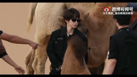 Into1 Liu Yu Fancam Riding On A Camel 【into1刘宇】惊吓小猪包 骆驼也喜欢主动贴贴（音途万里） 宇