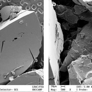 SEM Micrographs Of Fractured Samples Of ECO CA Copolyester A 50 X