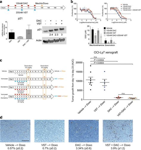 Chemosensitizing Effect Of The Combination Vorinostat With Decitabine