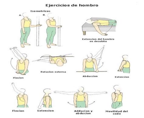 Ejercicios De Hombros Ejercicios Hombro Ejercicios Rehabilitaci N