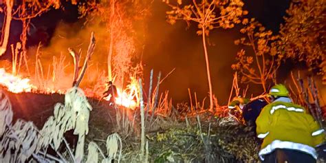 Boer Elite Incendios Forestales Bóer élite