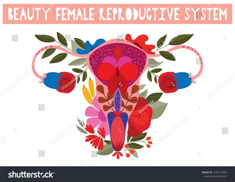 Beauty Female Reproductive System Flowers Hand Stock Vector Royalty