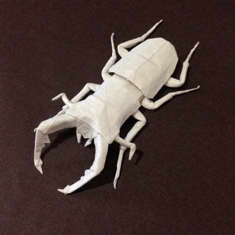 I Cant Believe How Complex And Realistic These Origami Insects Look