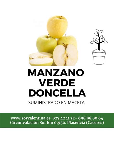 ÁRBOLES FRUTALES O PLANTONES DE MANZANOS EN MACETA