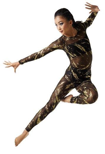 Glitter Brush Long Sleeve Mesh Unitard Weissman® Dance Outfits Dance Costumes Dresses