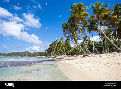 Playa Rincon Samana Peninsula Dominican Republic West Indies