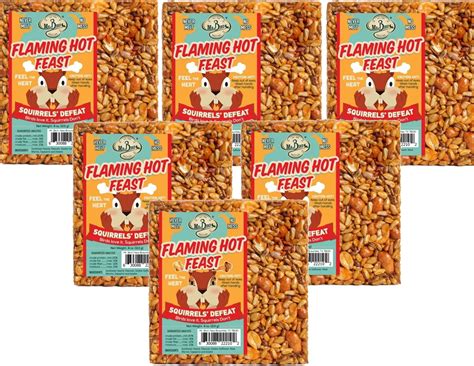 Pack Of Mr Bird Flaming Hot Feast H FSDSmall Wild Bird Seed Cake Oz Walmart