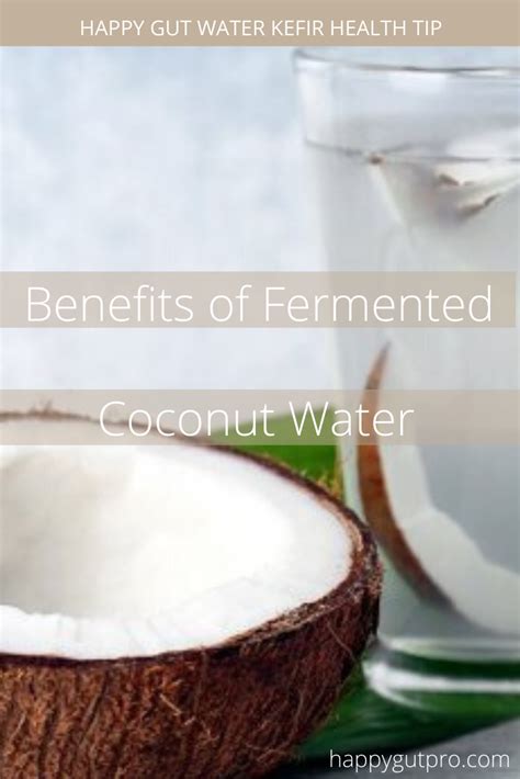 Health Benefits Of Fermented Coconut Water At Corrine Fitzpatrick Blog