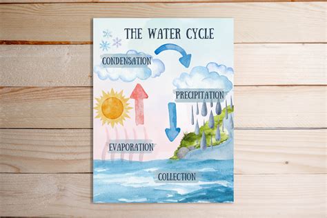 Water Cycle Printable Diagram - Etsy