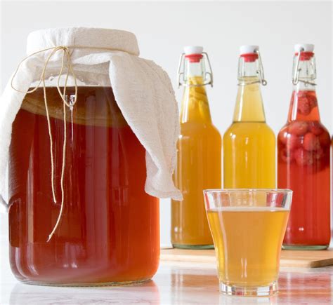 Kombucha aprenda o que é e como fazer a bebida